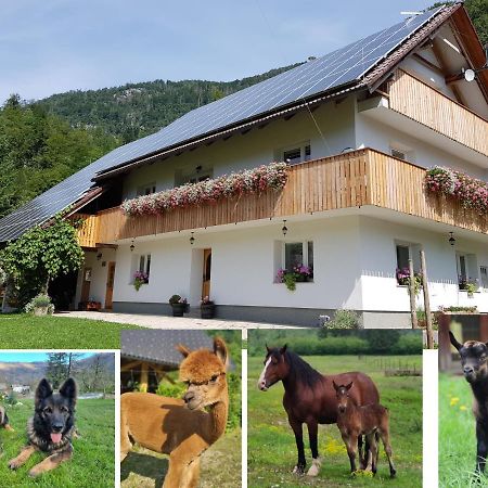 Domacija Loncnar- Apartment Bohinj Eksteriør bilde