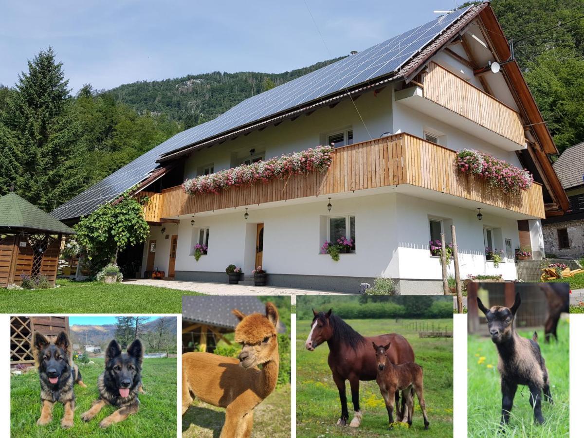 Domacija Loncnar- Apartment Bohinj Eksteriør bilde