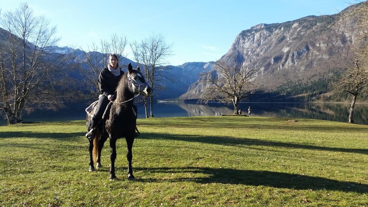Domacija Loncnar- Apartment Bohinj Eksteriør bilde